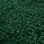Perché l erba sintetica di green ha solo il colore