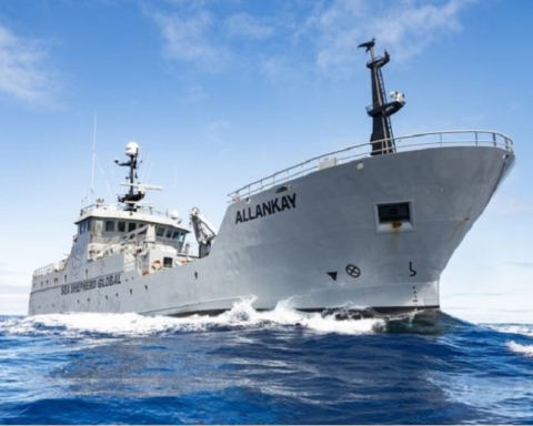 Allankay nave difesa Antartide