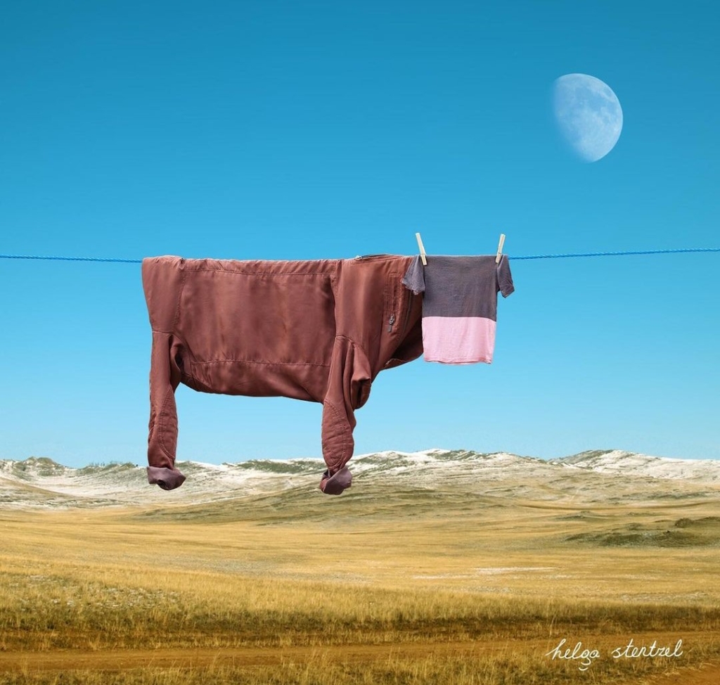 Smoothie, la mucca nello stile del surrealismo domestico