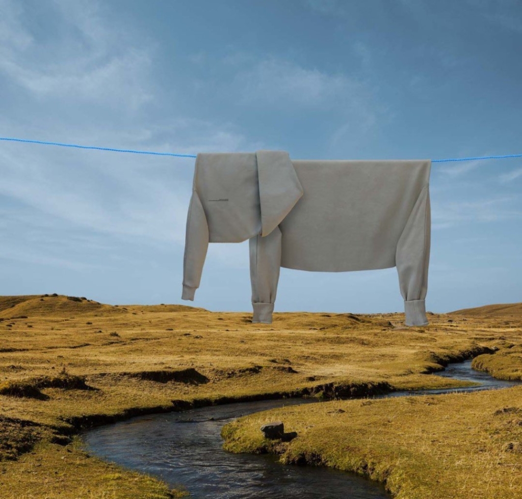 elefante secondo il surrealismo domestico di Helga Stentzel
