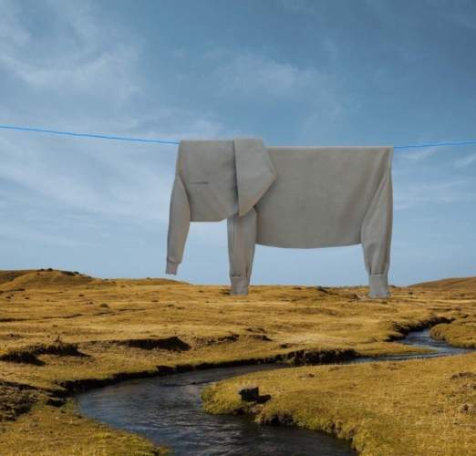 elefante-secondo-il-surrealismo-domestico-di-Helga-Stentzel-522x500.jpg