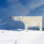 surrealismo domestico orso polare di Helga Stentze