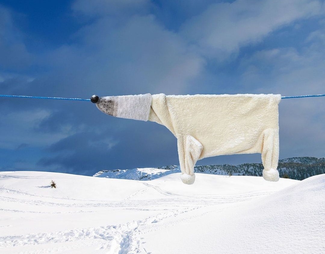surrealismo domestico orso polare di Helga Stentze