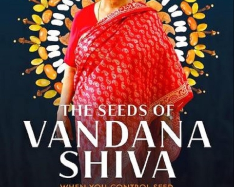 The seeds of Vandana Shiva