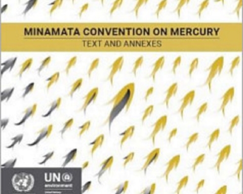 Convenzione di Minamata sul mercurio