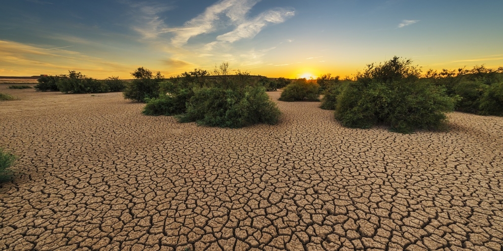 desertificazione e degrado del suolo