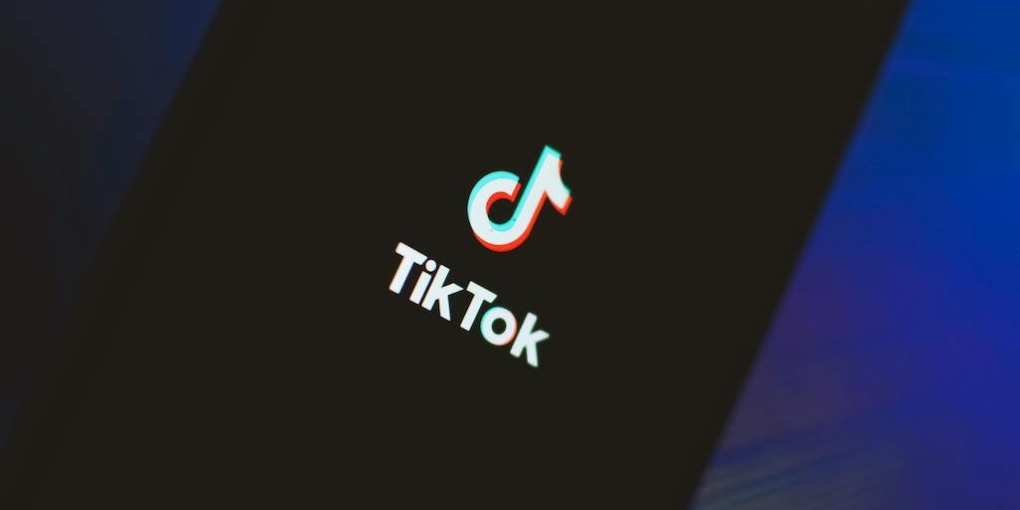 emissioni tiktok