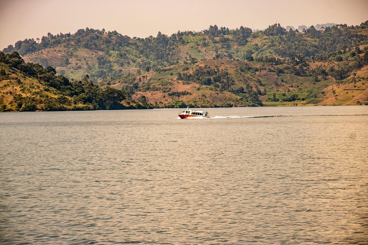 Congo, corridoio ecologico Kivu-Kinshasa