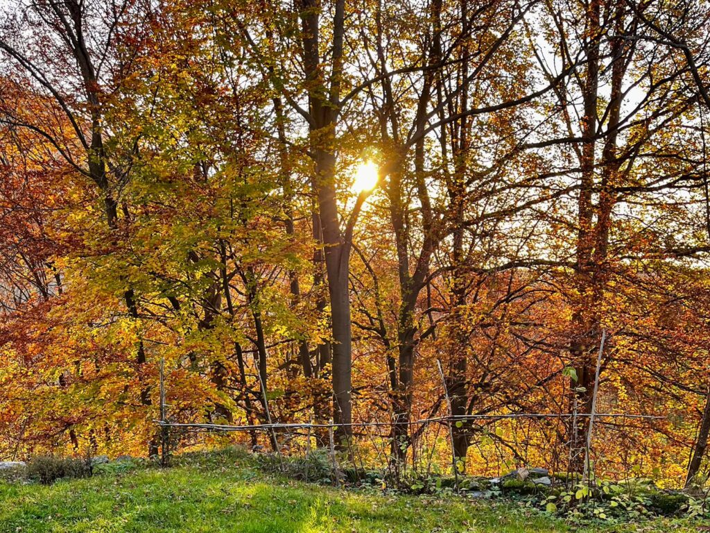 autunno 2026