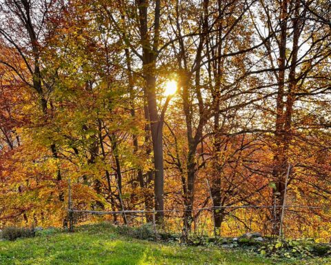 autunno 2026