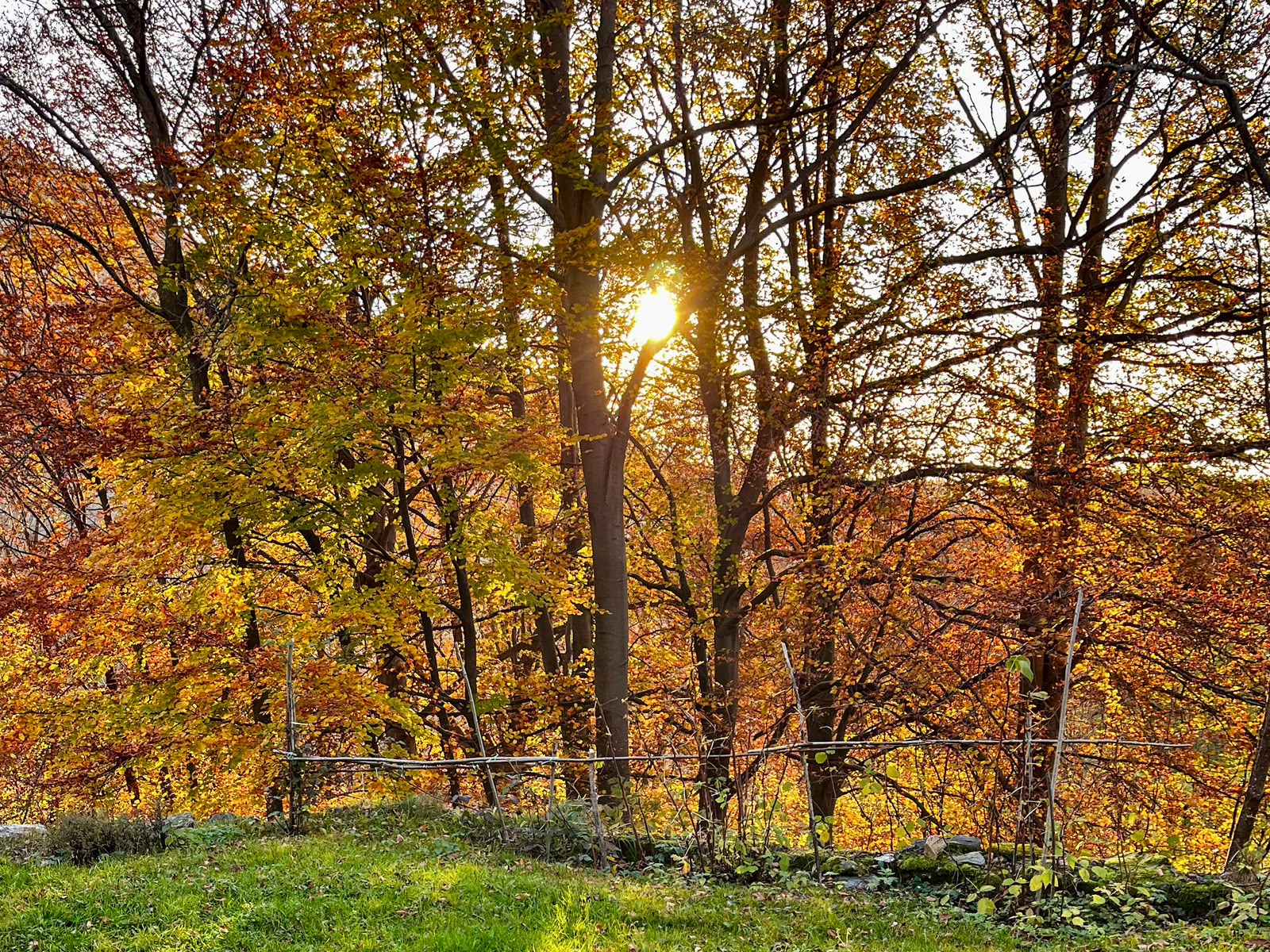 autunno 2026