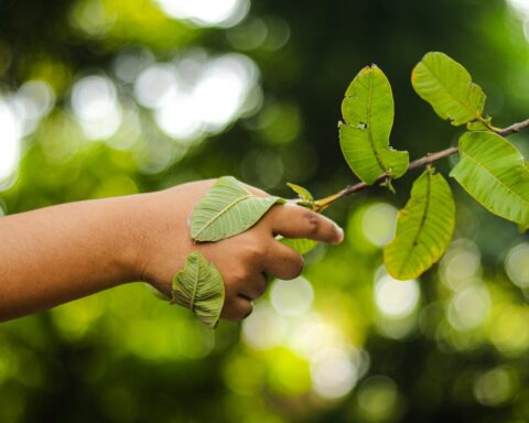 Ecolabel UE