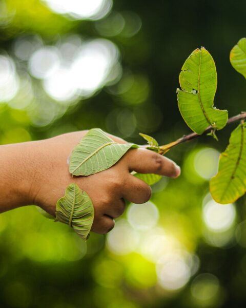 Ecolabel UE
