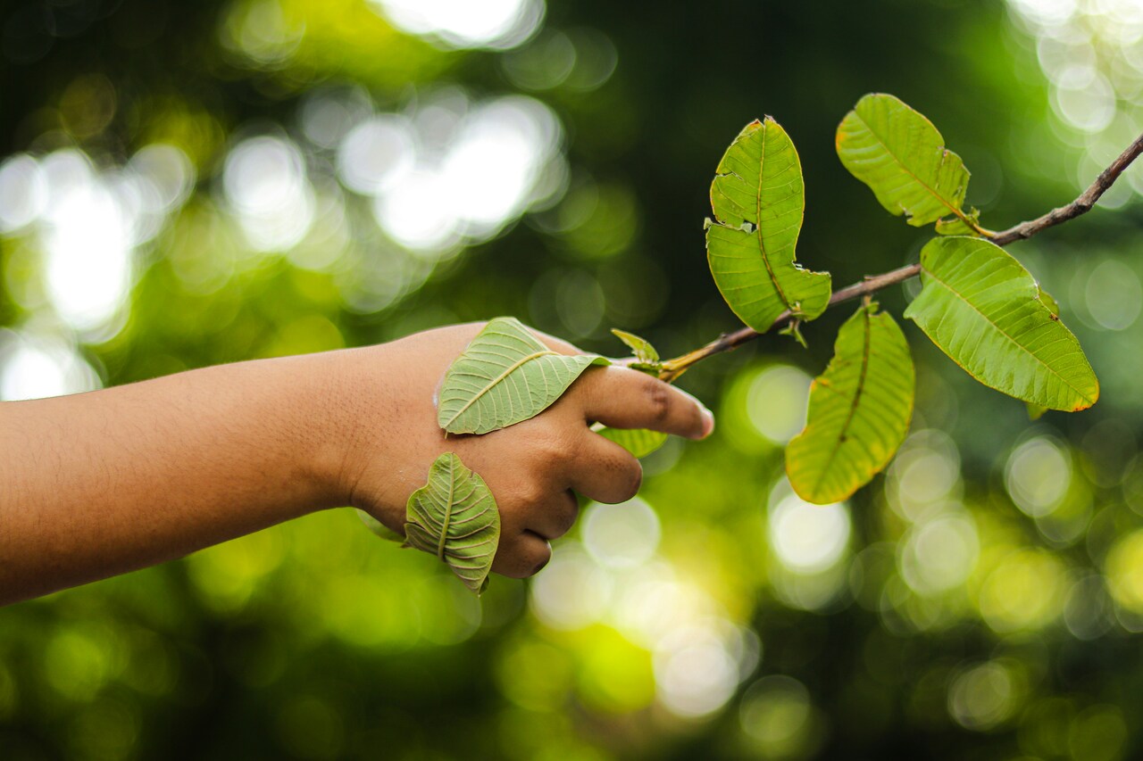 Ecolabel UE