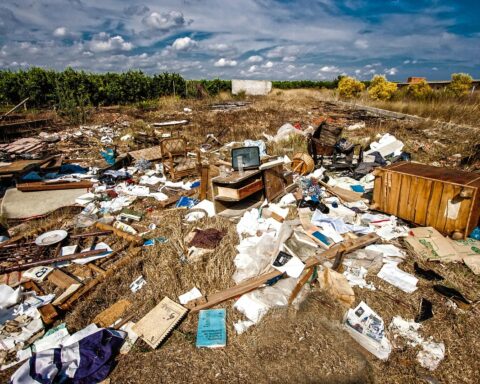Rapporto Ecomafia 2026