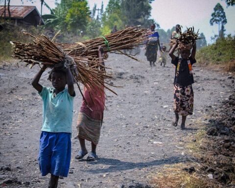 deforestazione in Congo