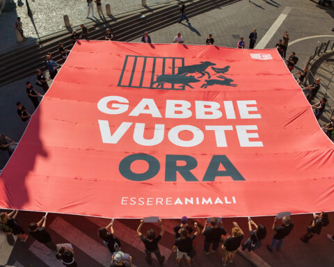 maxistriscione basta animali in gabbia