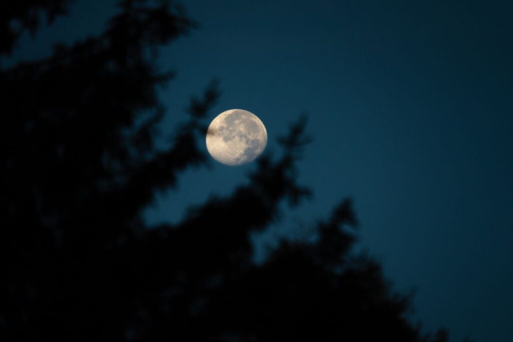 luna del cacciatore 2026