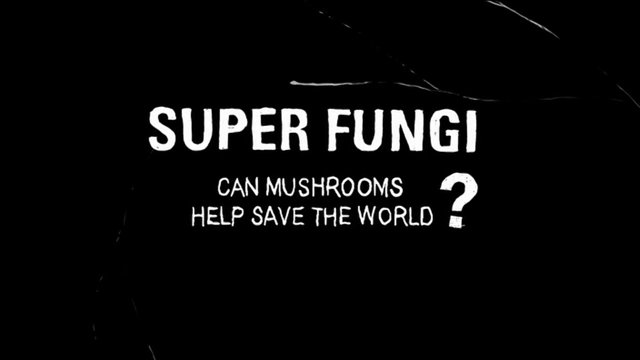 Super funghi