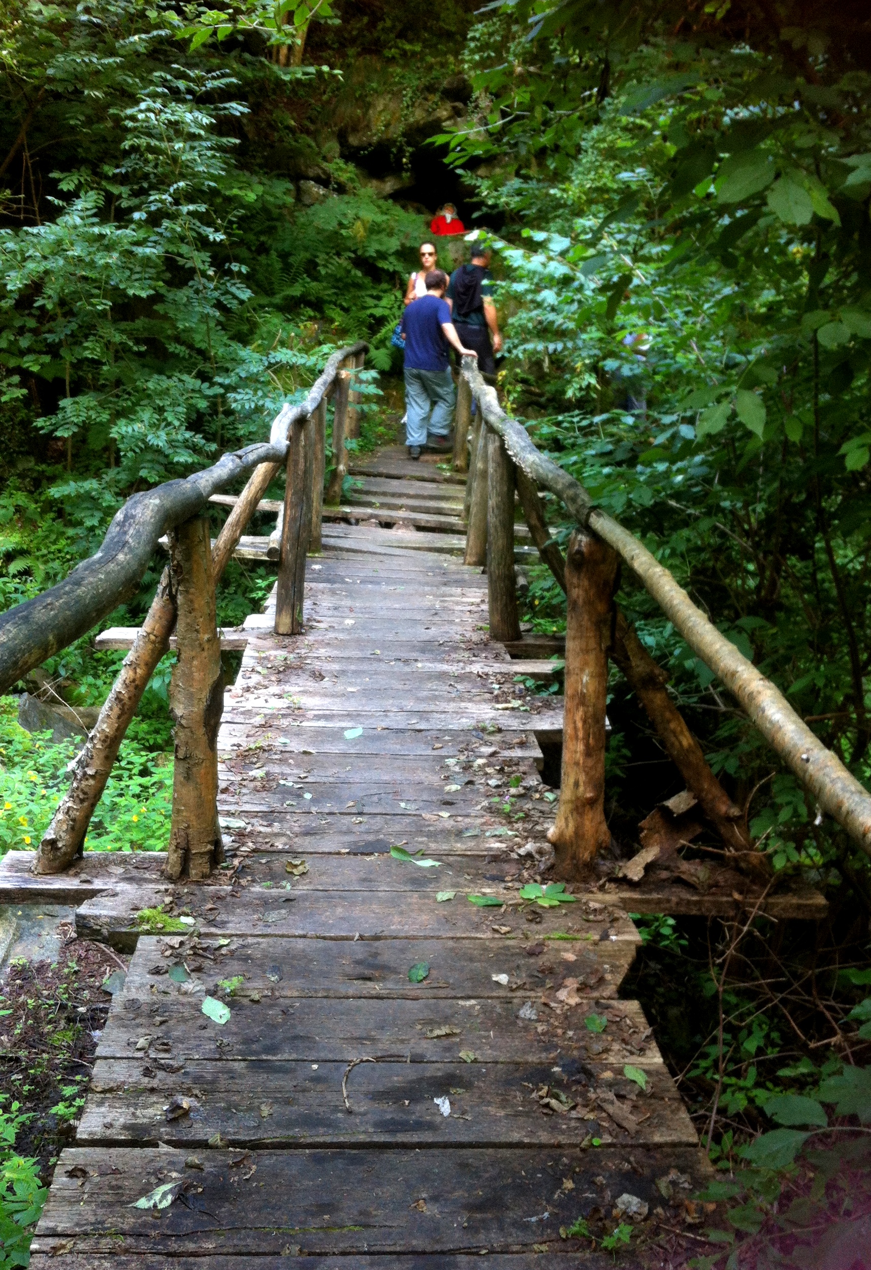 Un ponticello di legno nel sentiero dei Sarvanot