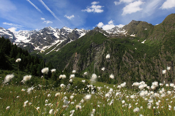 Alpi Orobie