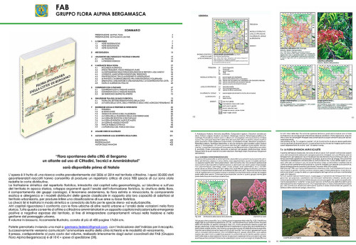Brochure Flora spontanea città di Bergamo