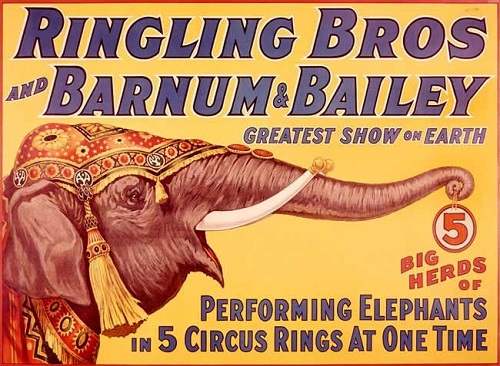 Elephant circus