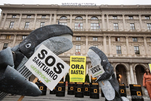 Santuario dei cetacei la protesta di Greenpeace