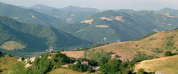 etnobotanica paesaggio rurale