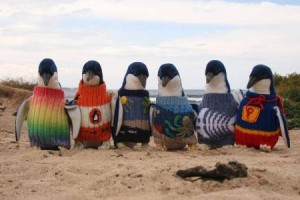maglia per i pinguini
