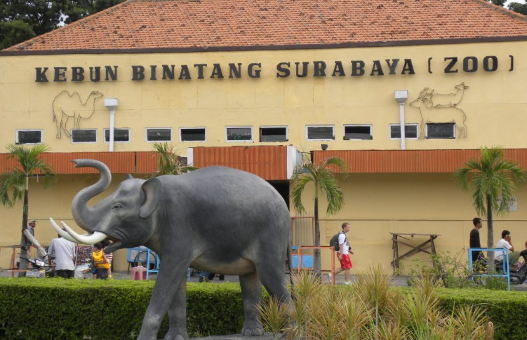 zoo surabaya indonesia