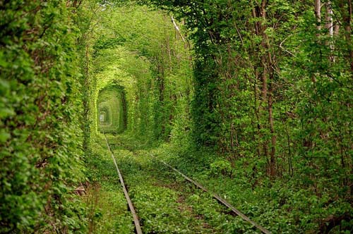 tunnel dell'amore, Ucraina