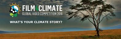 what's your climate story